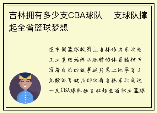 吉林拥有多少支CBA球队 一支球队撑起全省篮球梦想